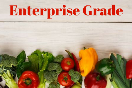 Enterprise_Grade